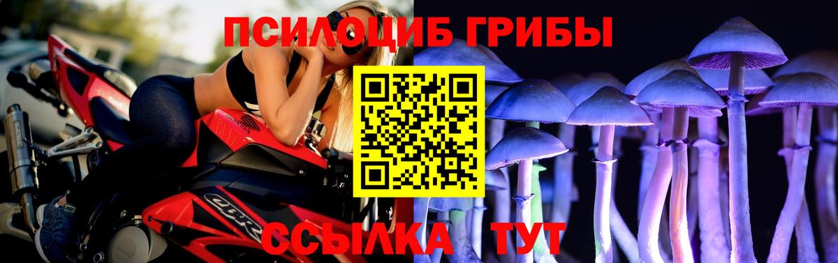 Стерлитамак  Псилоцибиновые грибы GOLDEN TEACHER  Вход с VPN  Псилоцибиновые грибы MAGIC MUSHROOMS 